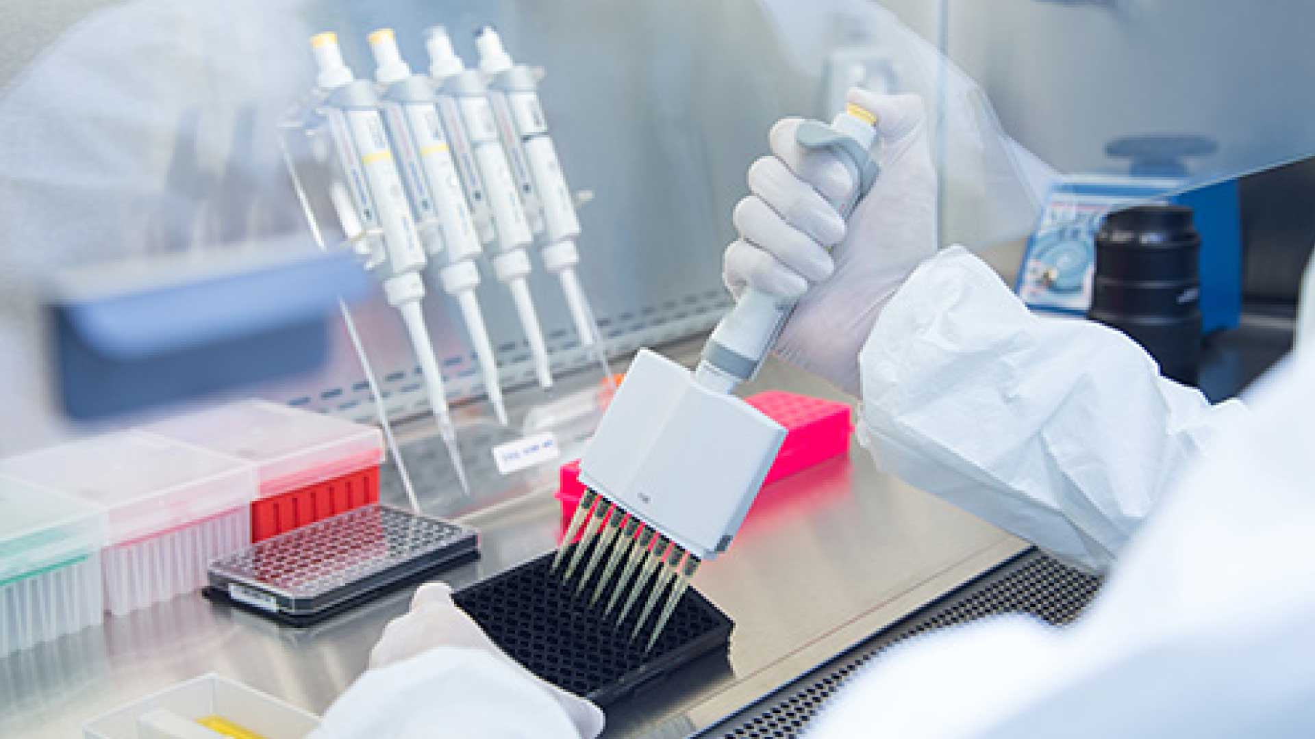 Pipette